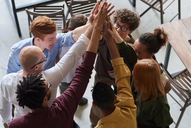 Ace All Solution Family Team